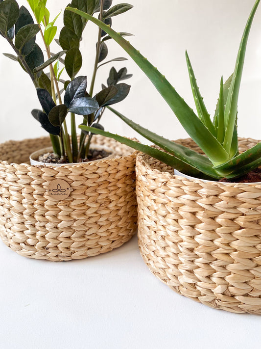 Evara’s artisanal storage basket handcrafted from 100% natural banana fiber, designed with a sturdy woven structure, minimalist aesthetic, and smooth natural finish. Ideal for organizing living spaces, storing linens, toys, or accessories. Lightweight yet durable, with reinforced edges and optional handles for easy mobility. A biodegradable, eco-friendly home décor piece that blends functionality with timeless elegance.